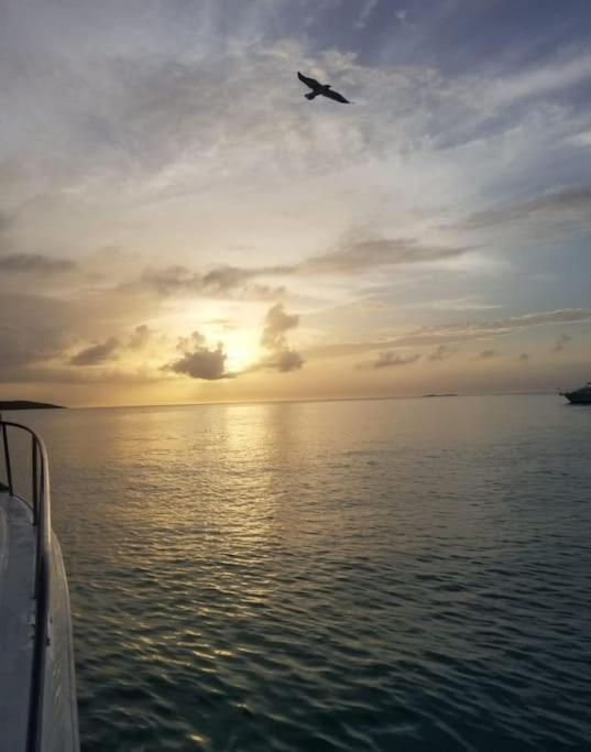 Villamar Fajardo Bagian luar foto