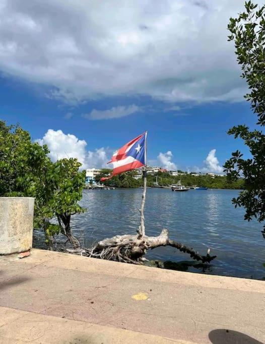Villamar Fajardo Bagian luar foto
